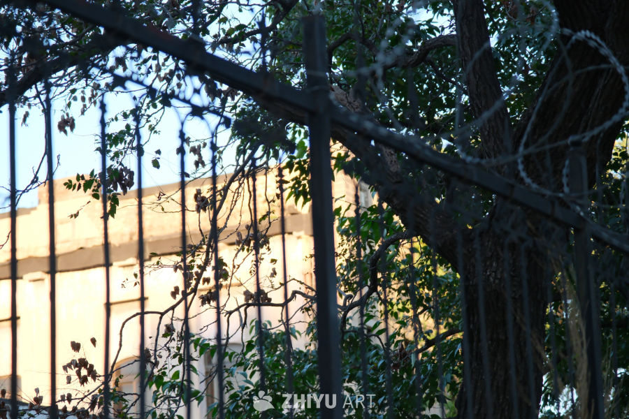 百望山公园 40