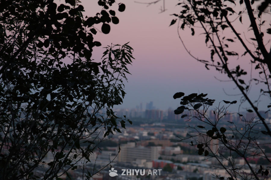 百望山公园 42