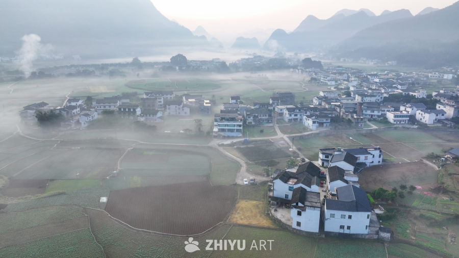 水墨画般的乡村晨景 47