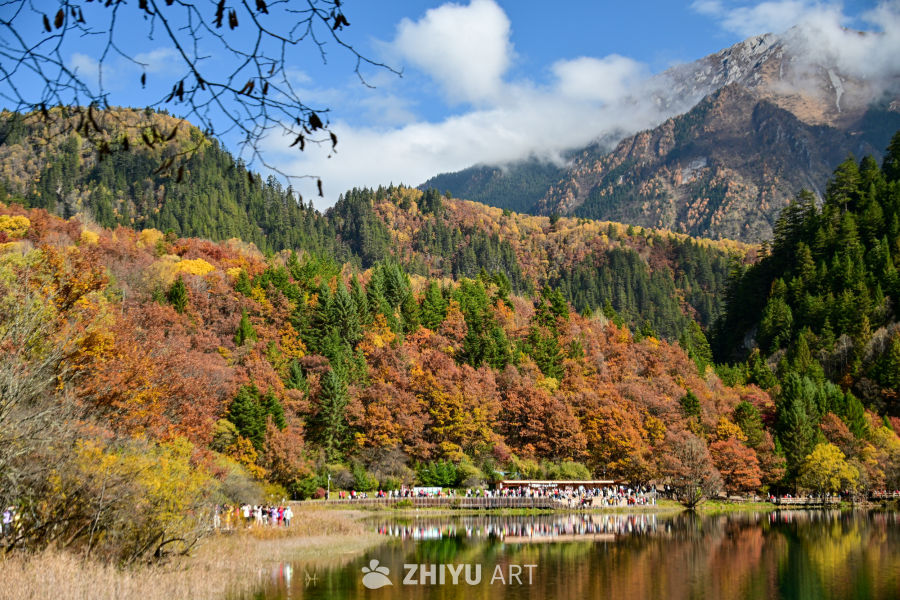 彩林九寨