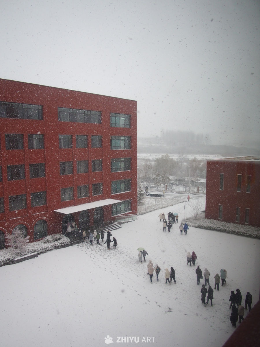 威海大雪