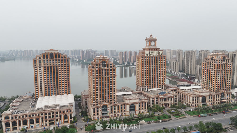 武汉阳逻港区 2
