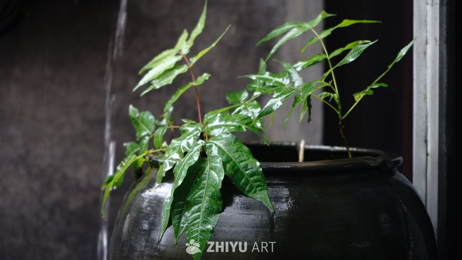 胶片感 2