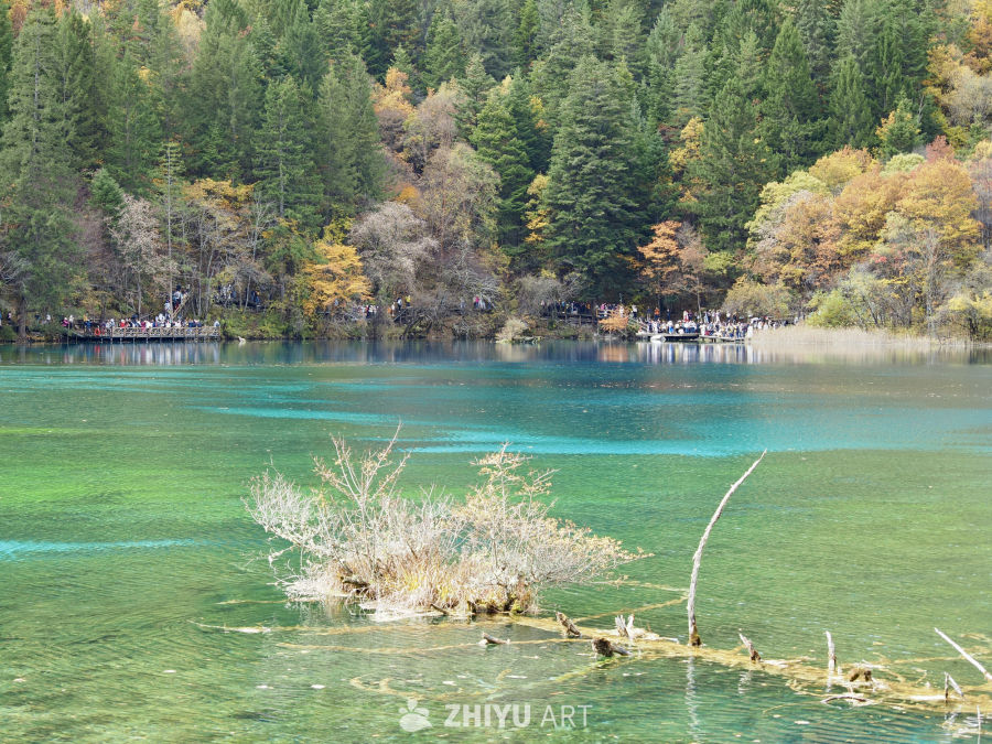川西九寨/毕棚沟/四姑娘山 13