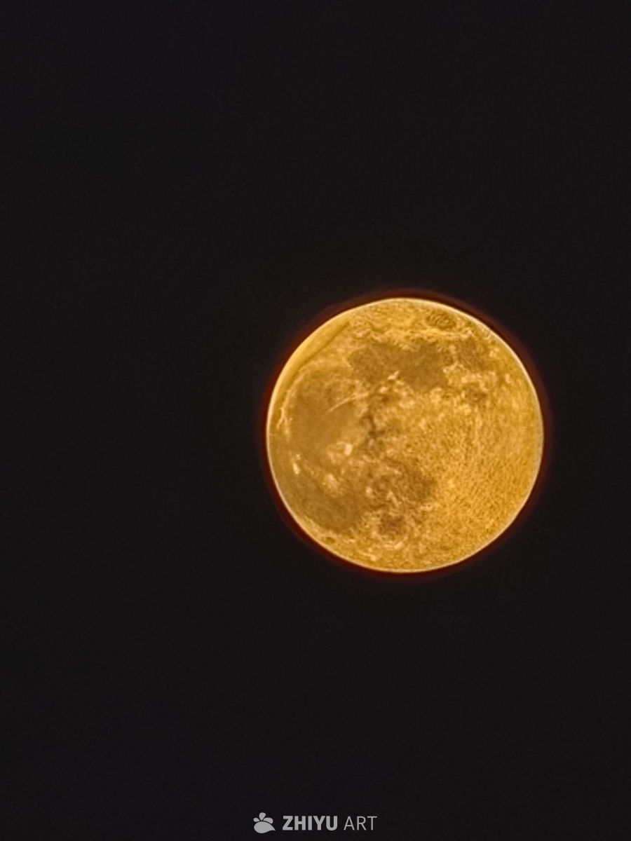 金黄满月夜