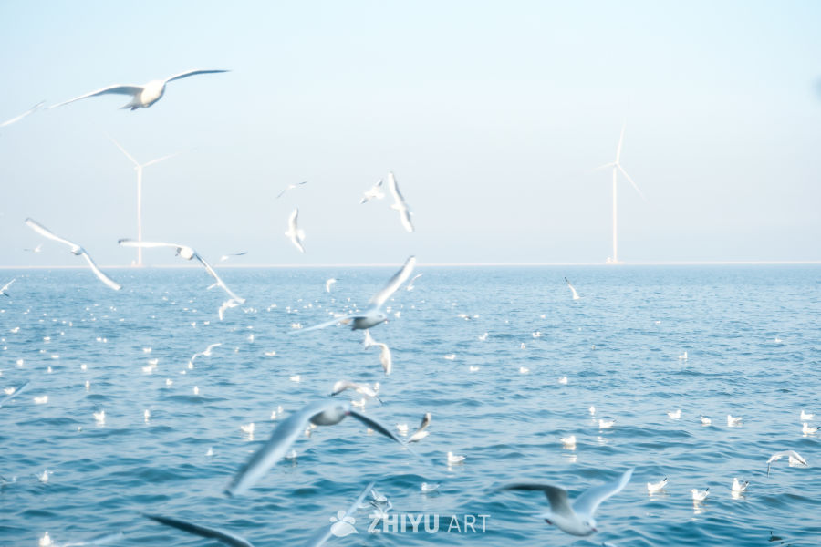 海欧与海 4