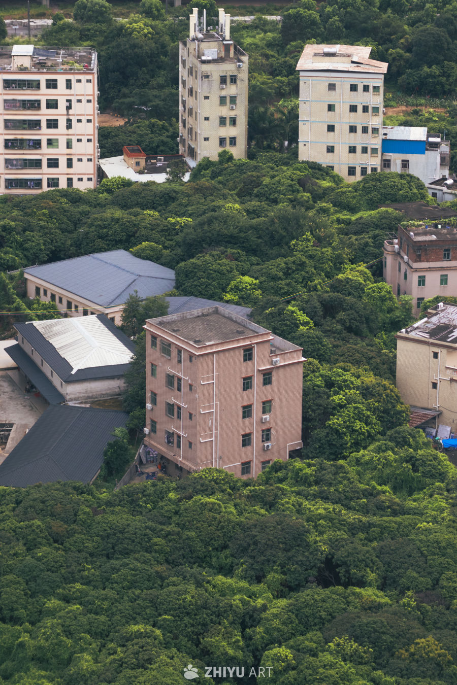 绿意盎然的城市建筑群