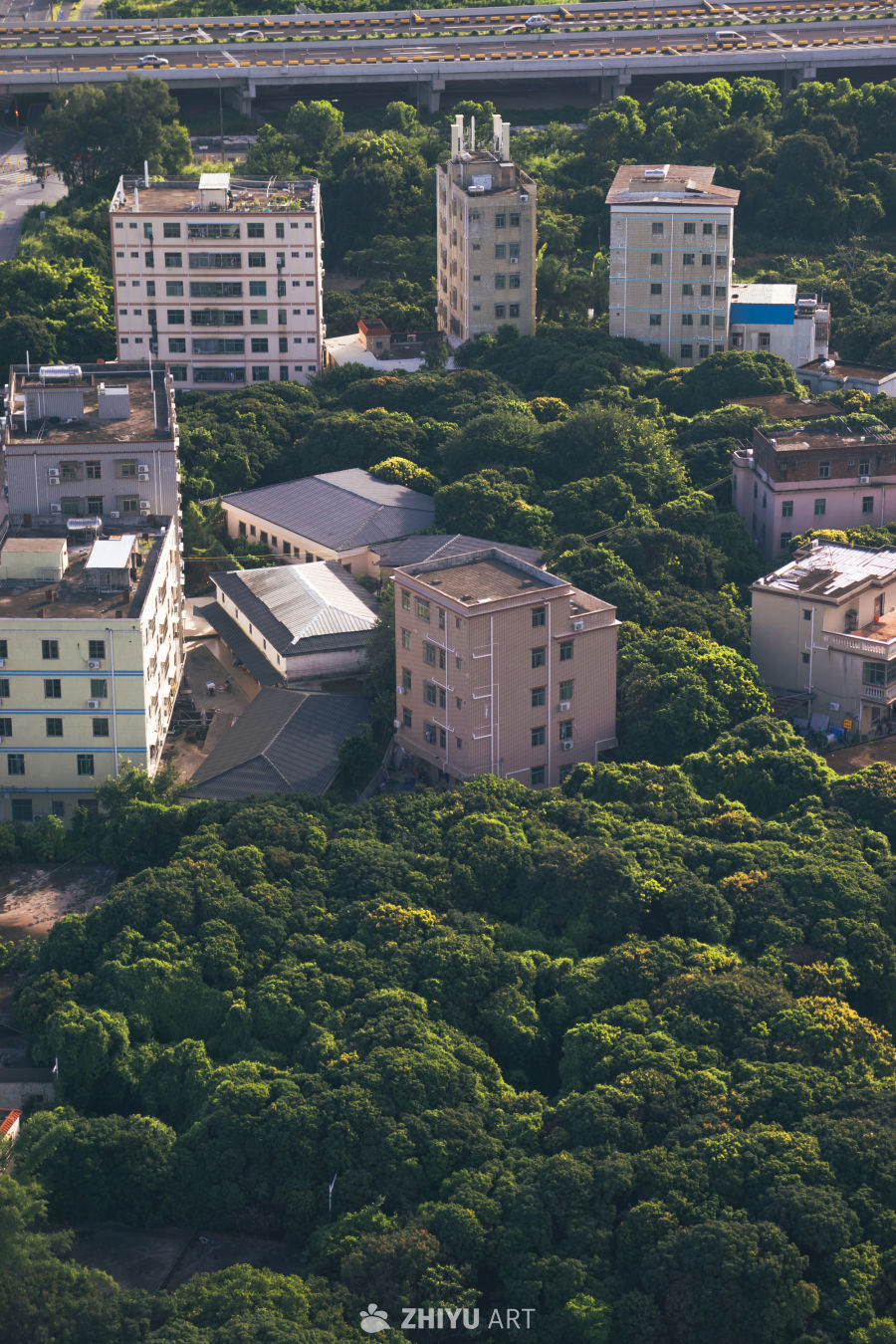 绿意盎然的城市建筑群