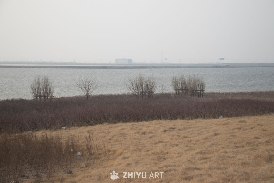 雾霭湖畔的静谧冬景
