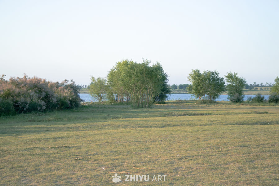 湖畔静谧草地图