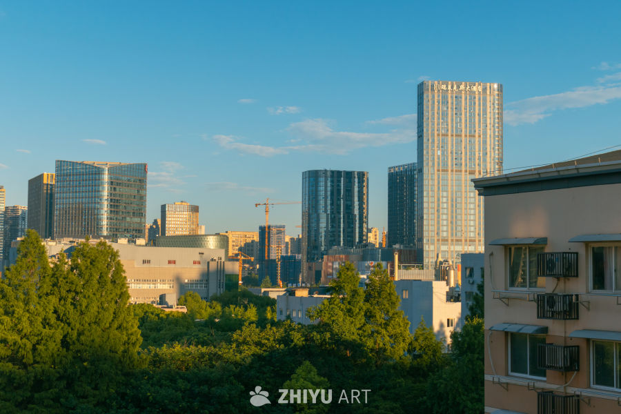 都市晨景：高楼与绿树的和谐