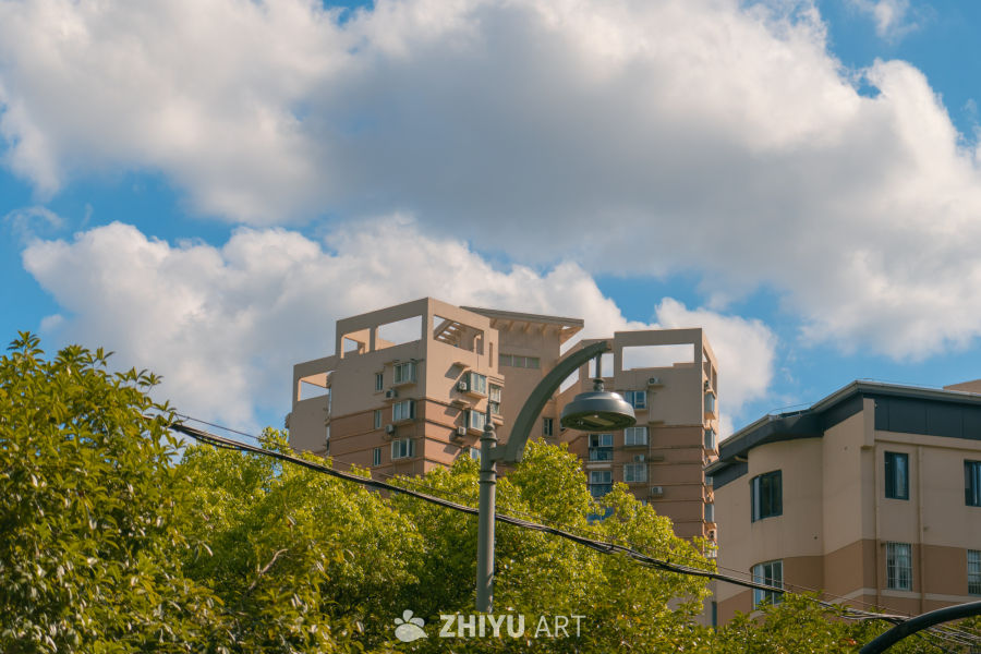 城市绿意与建筑之美