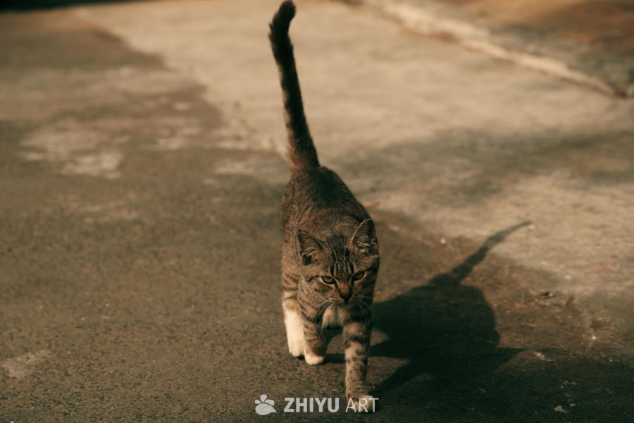素材
