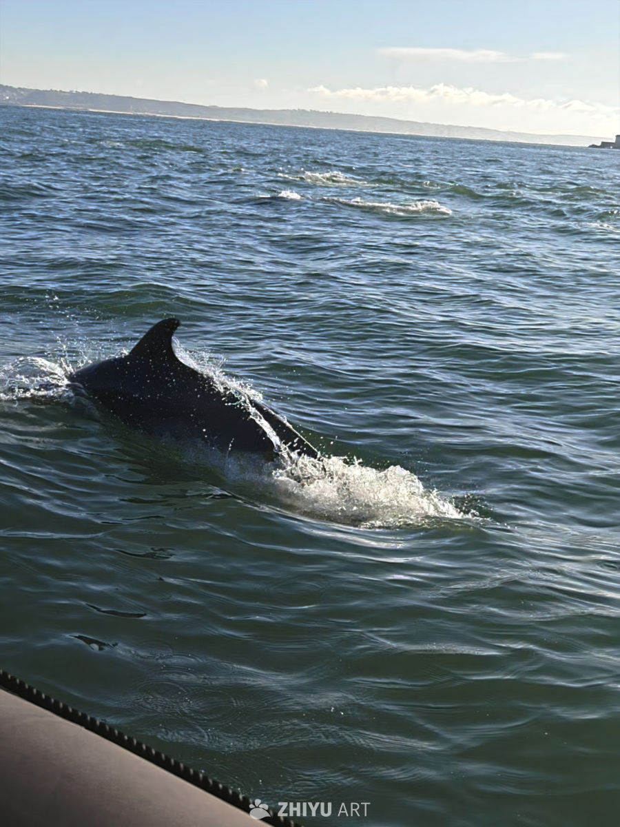 海中弧线
