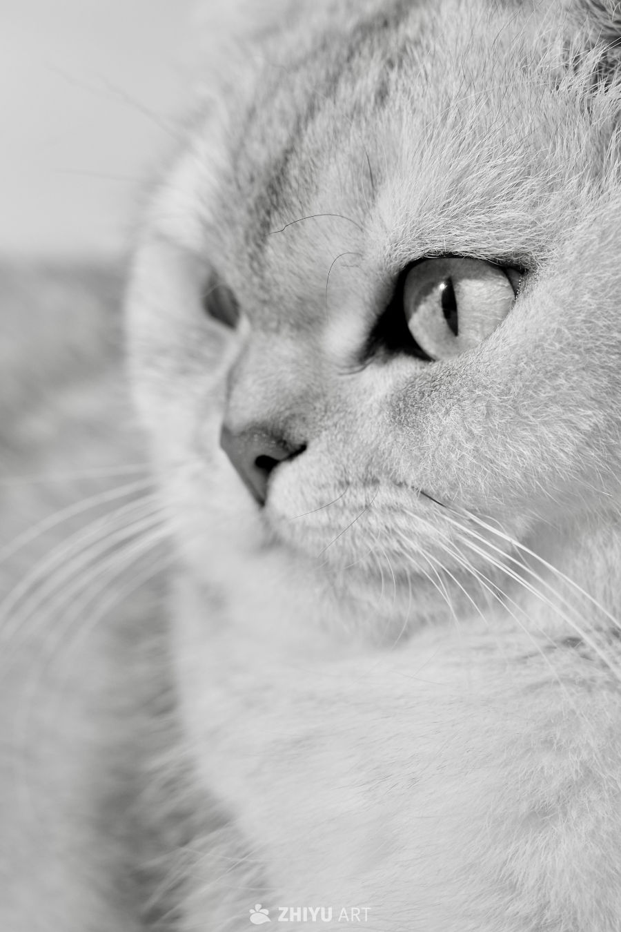 日常