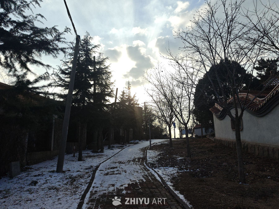 雪后冬日小径