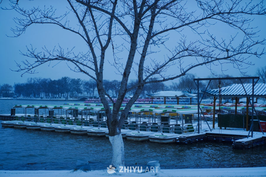 雪中玄武湖