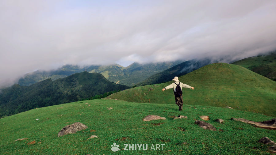 山间绿野，自由奔跑