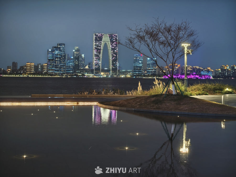 金鸡湖一颗树