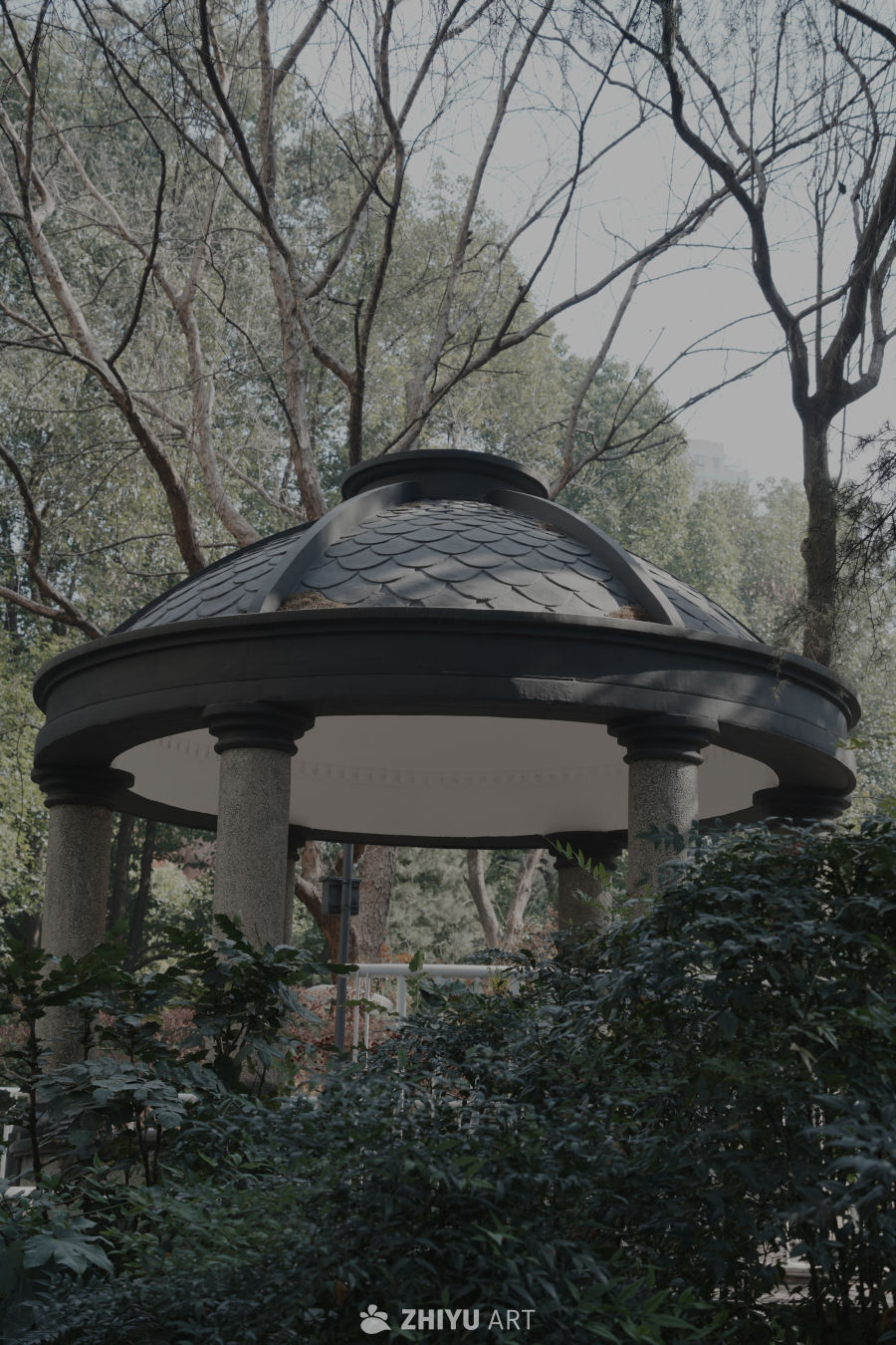 公园随拍