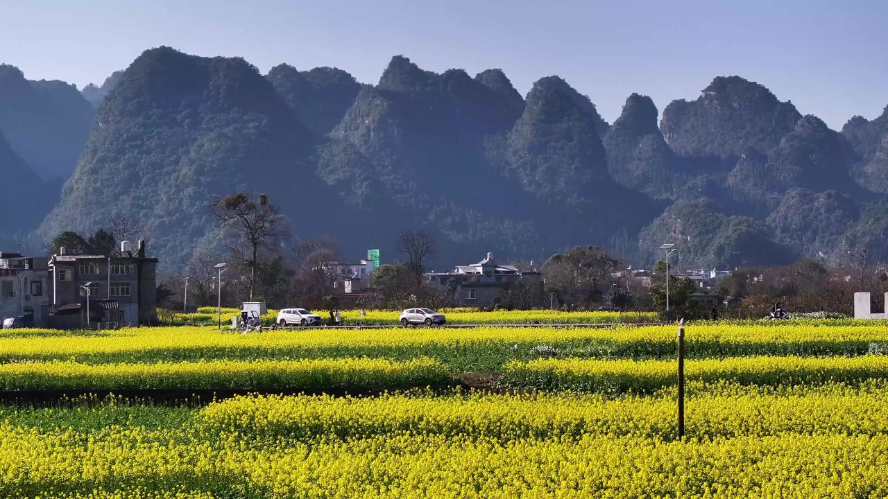 4k贵州万峰林油菜花 乡村旅游