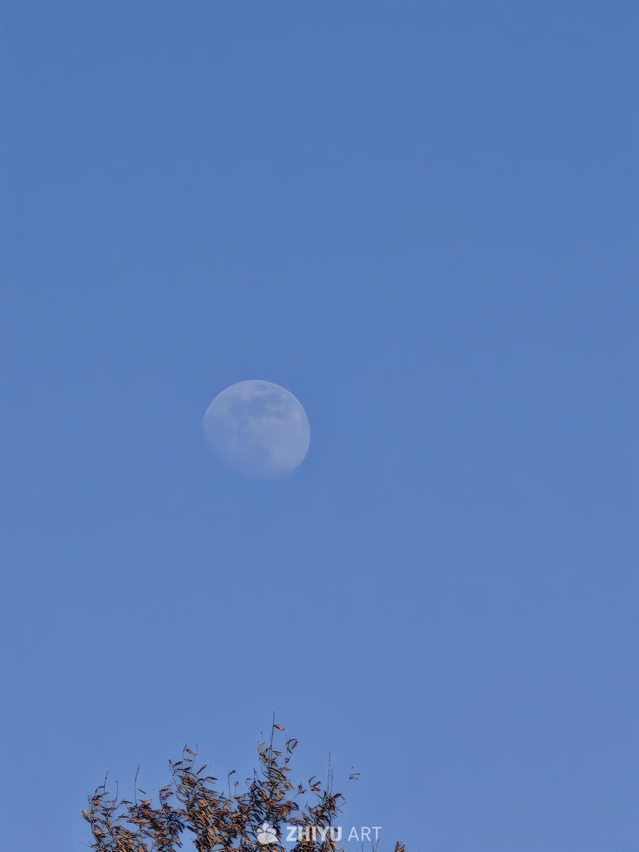 蓝天映月