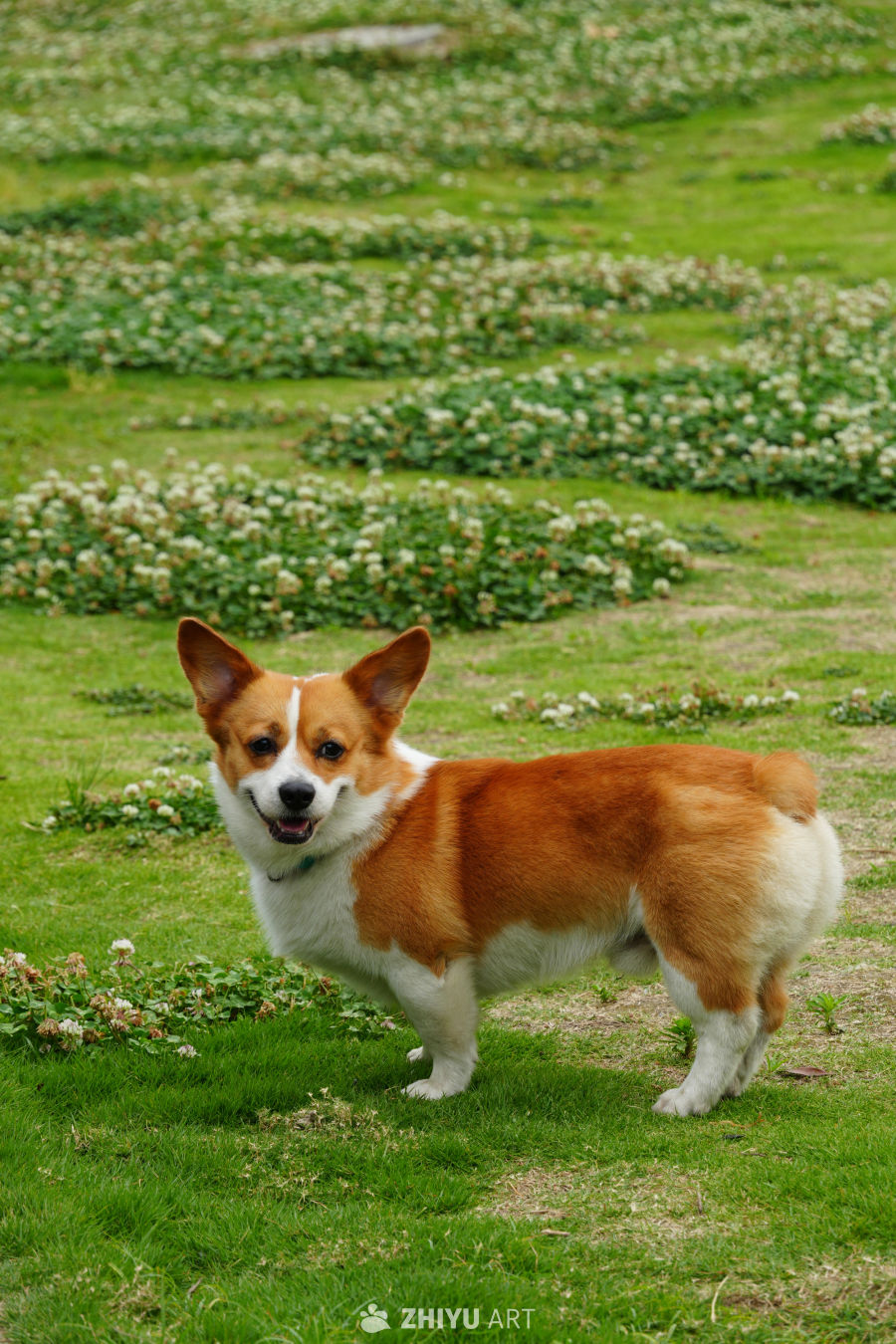 修勾！