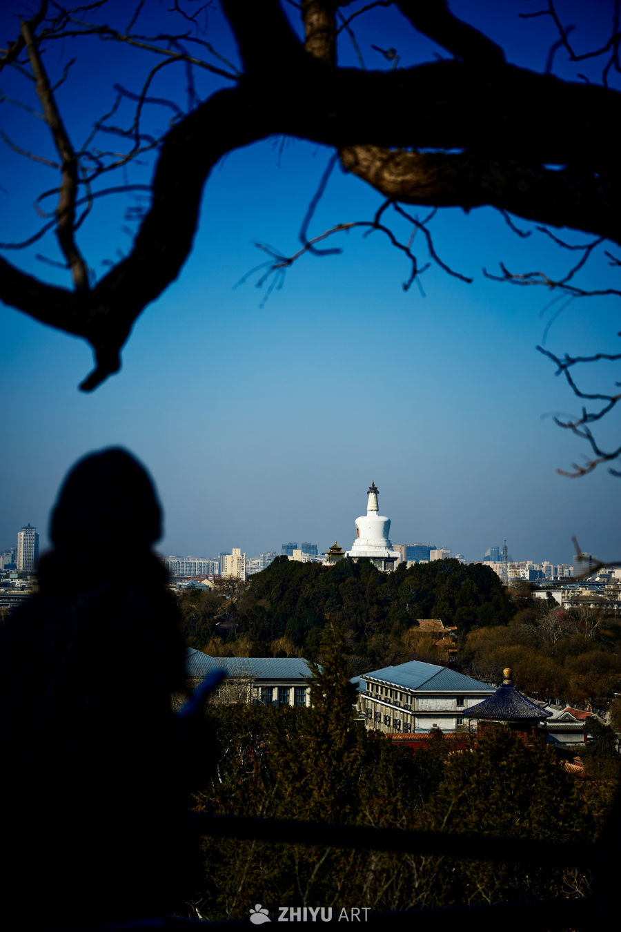 白塔映城景