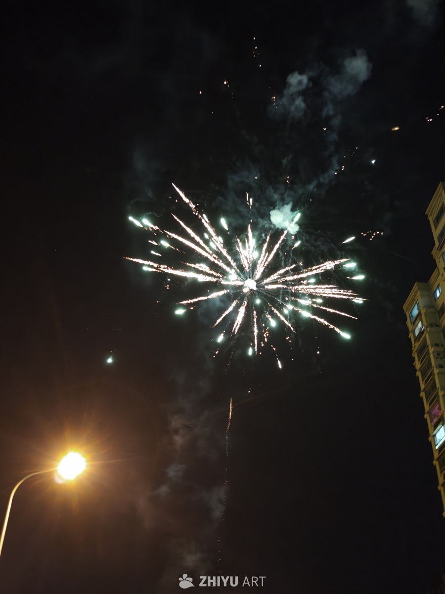 夜空中绽放的烟花