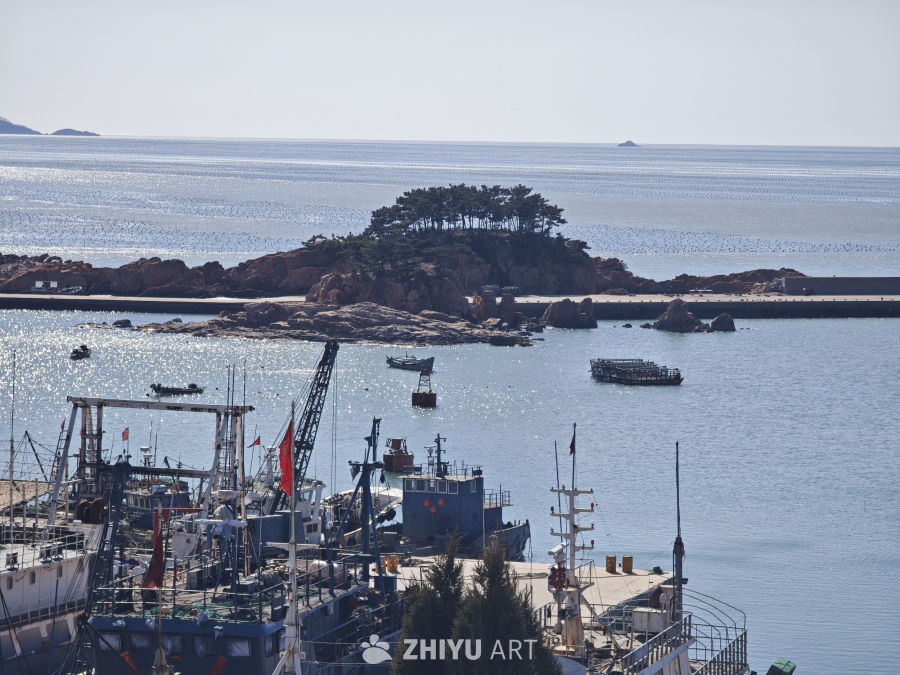 渔港日光美景