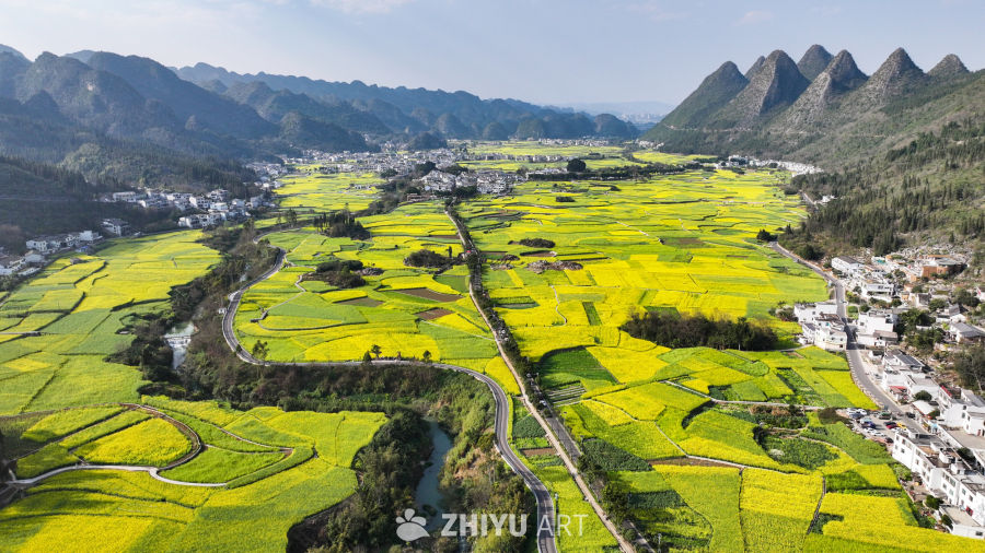 航拍贵州兴义万峰林景区油菜花花海 8