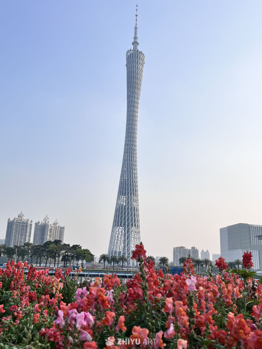 广州塔花海美景