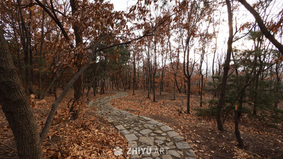 路