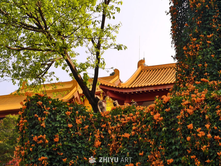 古典园林秋景