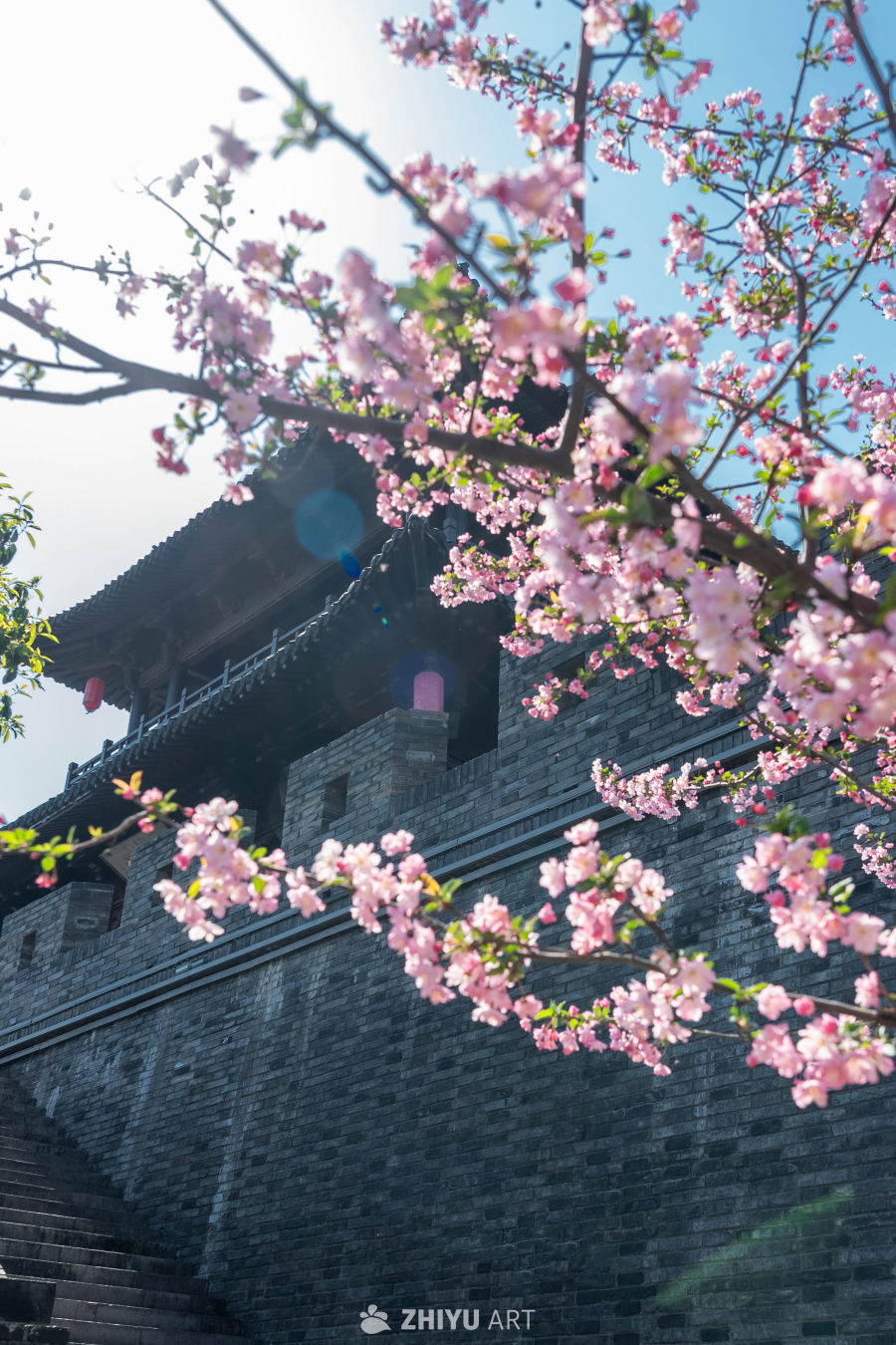 花开古城门