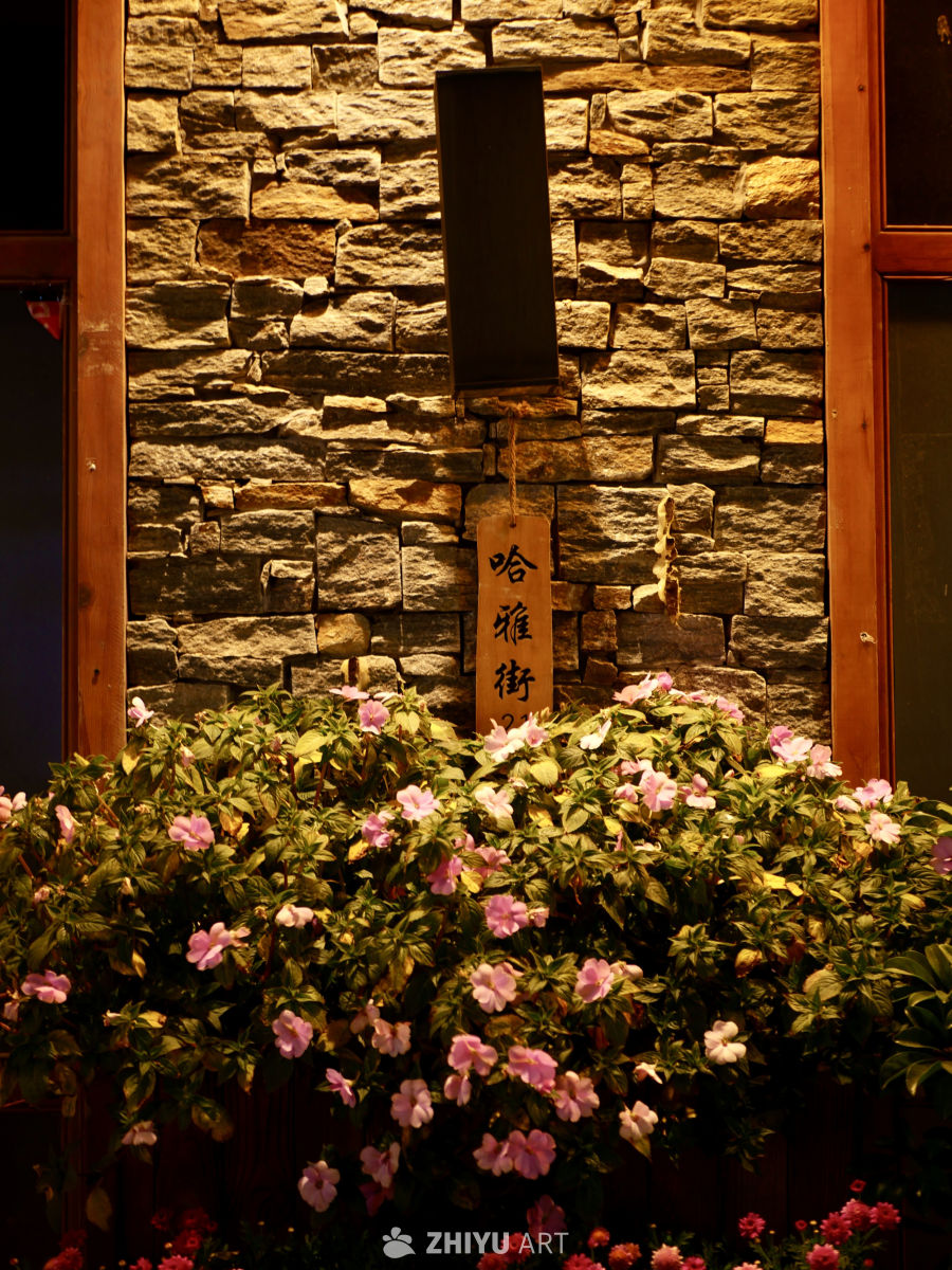 春城花都，好享昆明