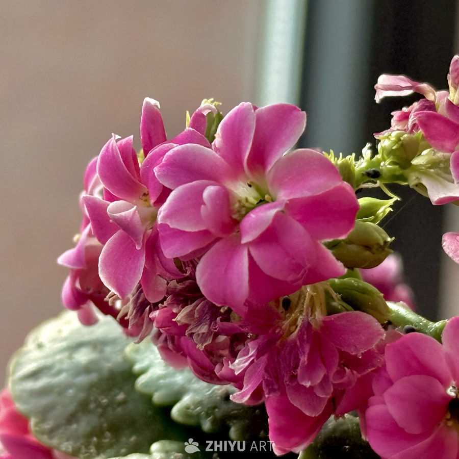 花