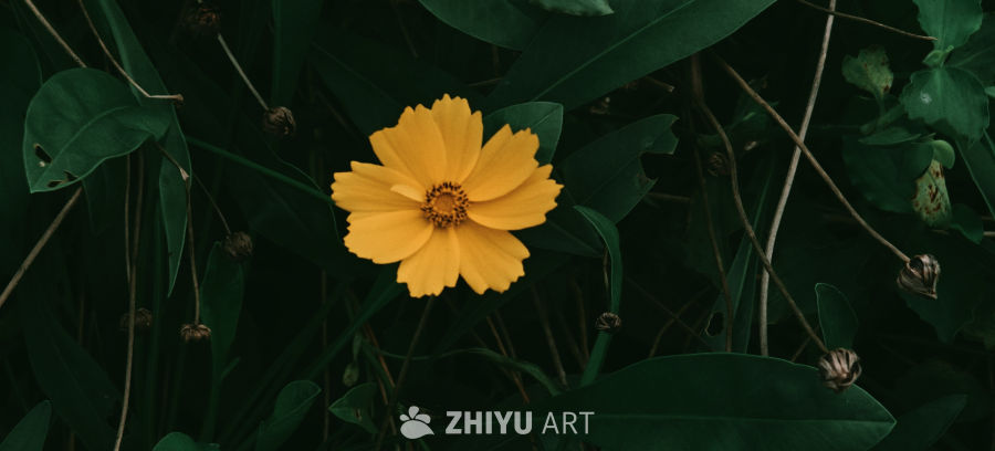 花