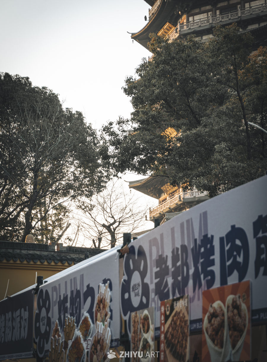 常州红梅公园｜被问爆的黄昏治愈感拍照攻略🌇