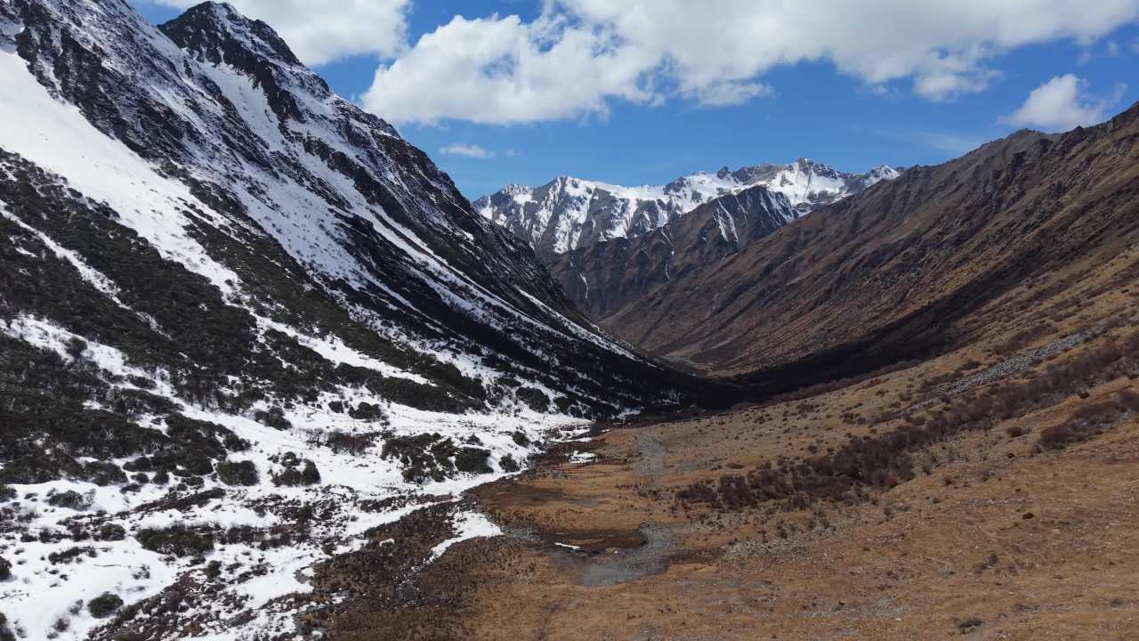 小金龙色峰 10