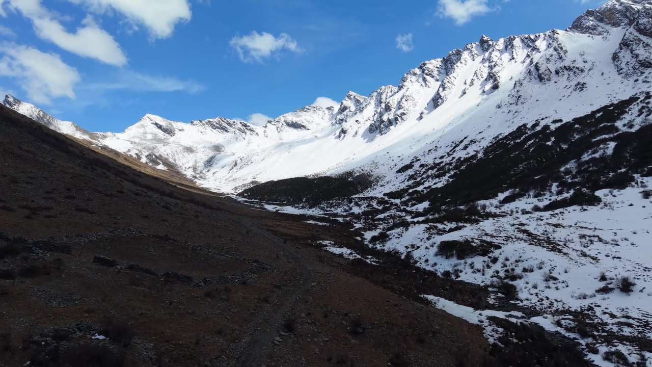 小金龙色峰 11