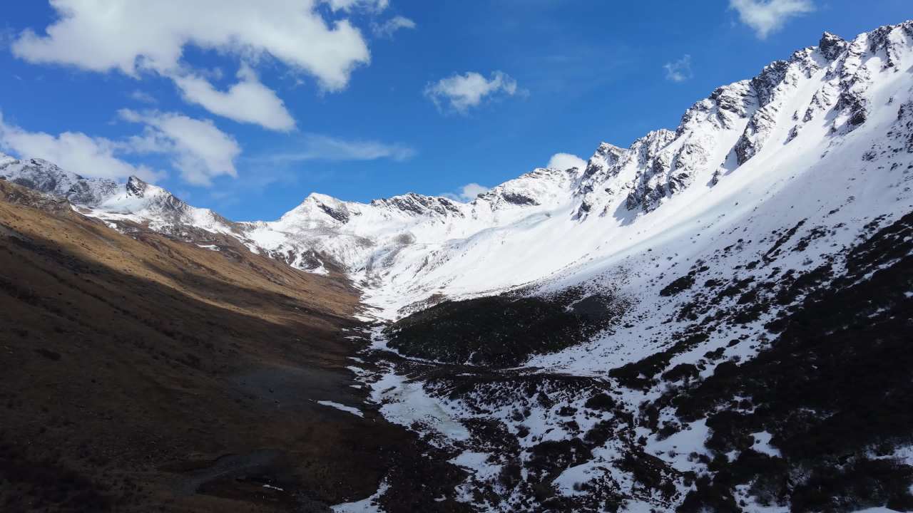 小金龙色峰 12