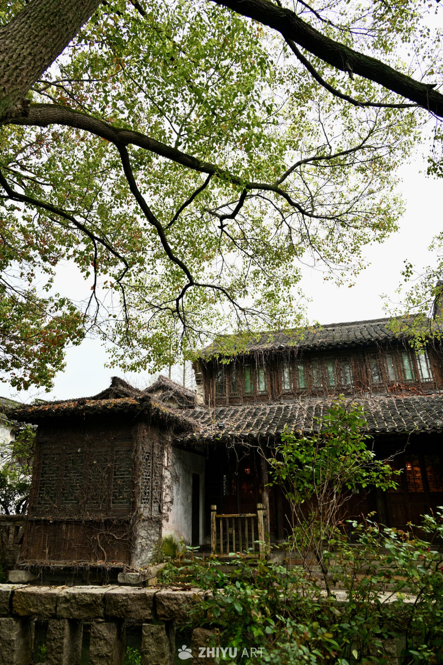 江南古宅秋景