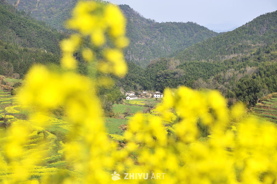 花间小屋