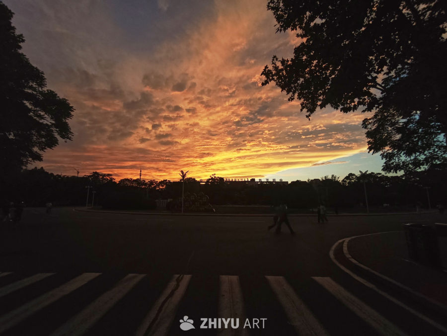 夕阳下的街道剪影