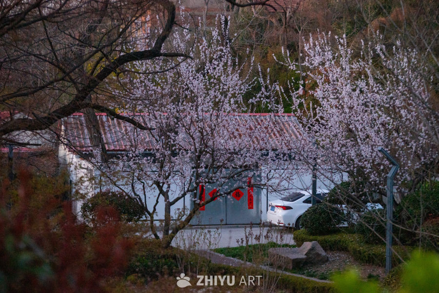 花间小院