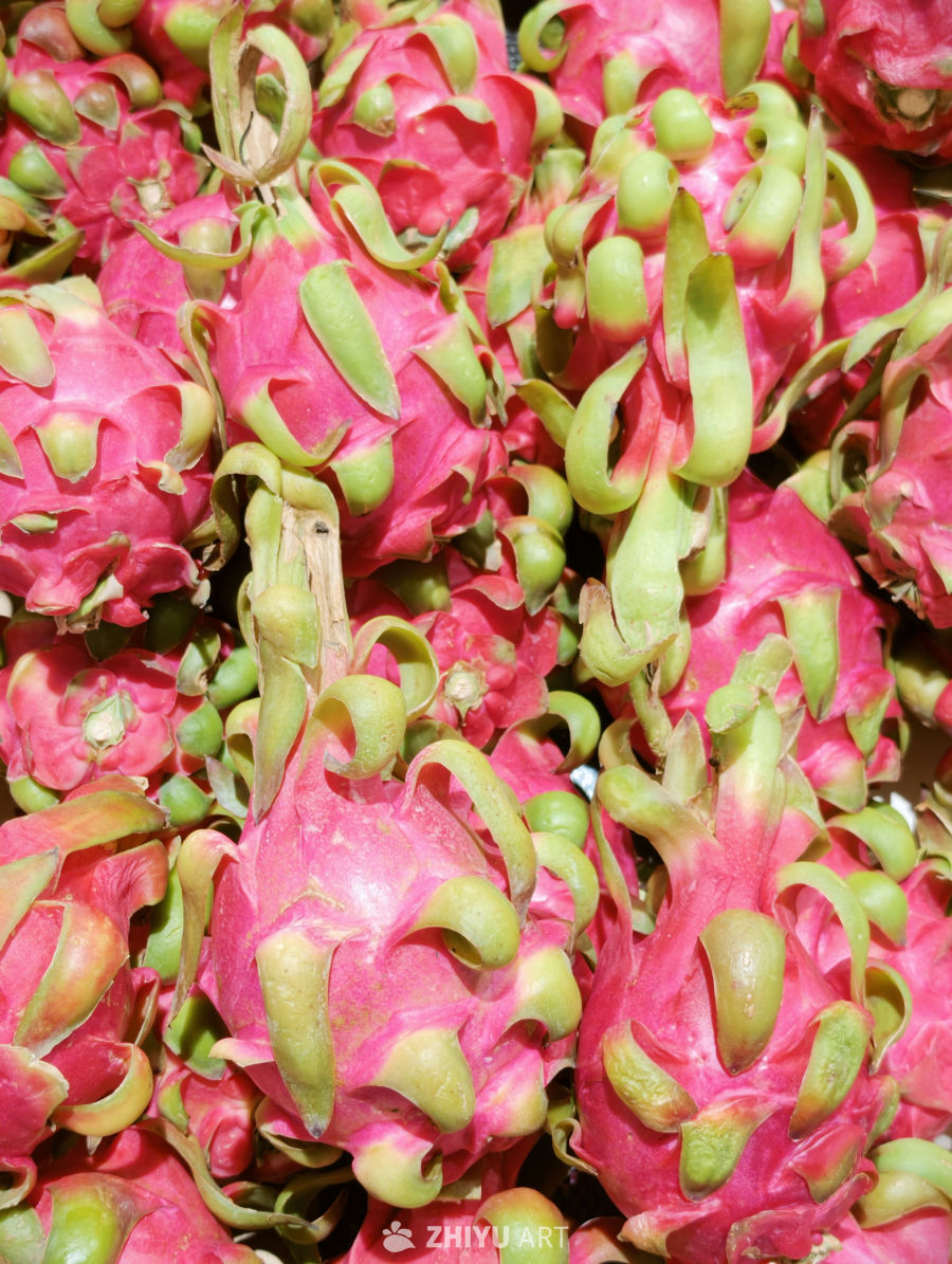 水果蔬菜