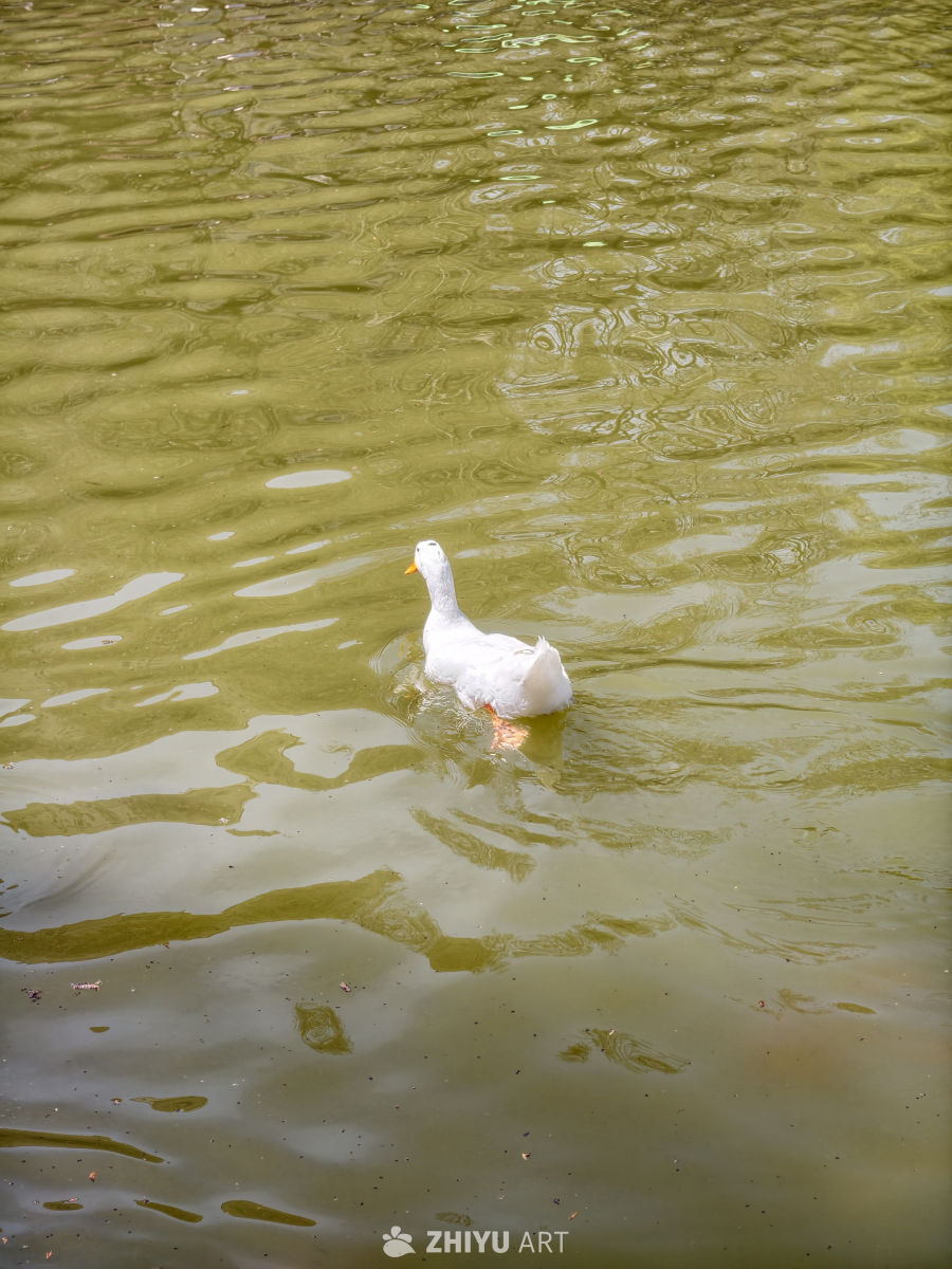 春日公园