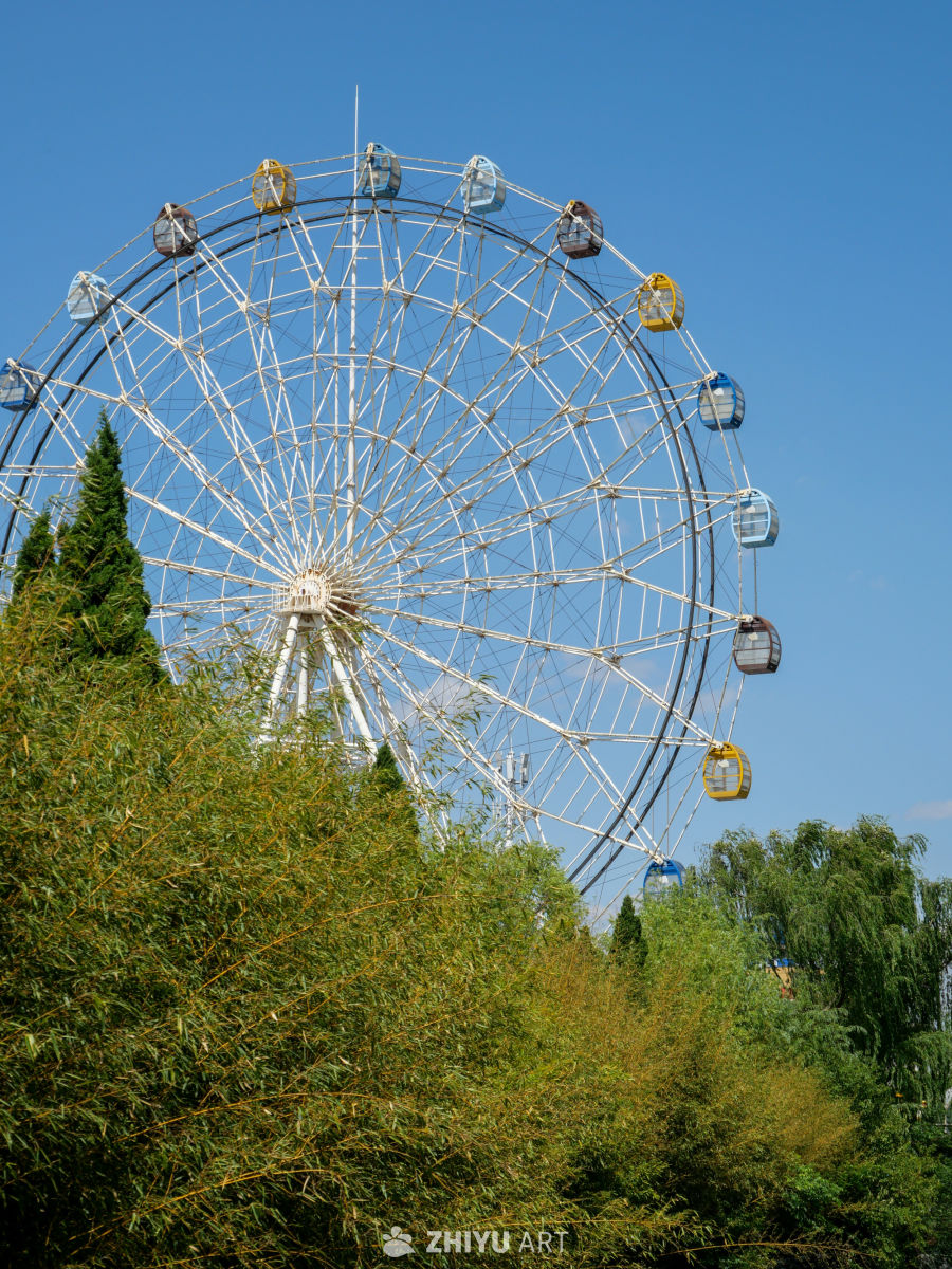 🎡