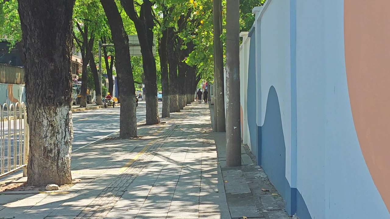 4K阳光林荫路人行道